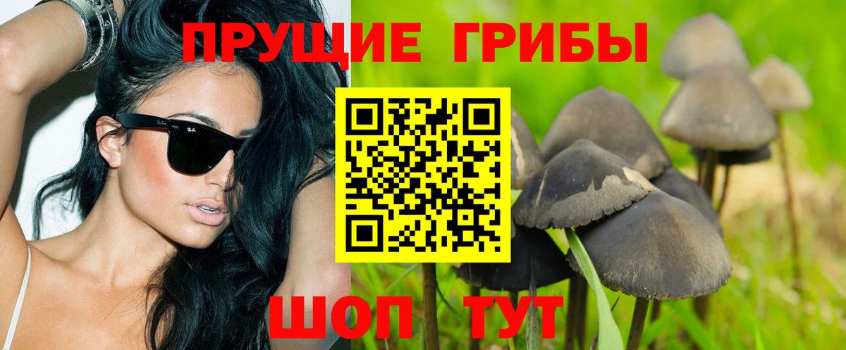 Галлюциногенные грибы прущие грибы Чистополь