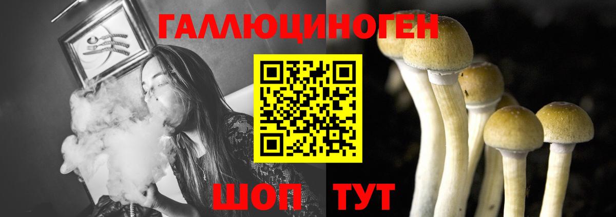 Чистополь  Галлюциногенные грибы Psilocybe  Вход с VPN 